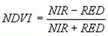 Ndvi .gif